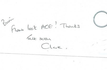 floors-looks-ace-the-flooring-group