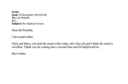 testimonial-to-pestaille20141125