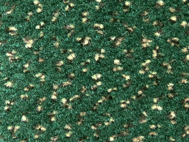 Joseph Hamilton Seaton Carpets – Albatross II