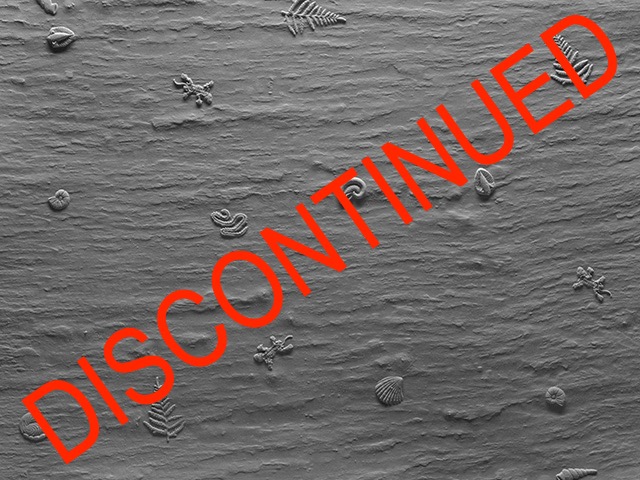 Dalsouple Rubber – Fossile Tile