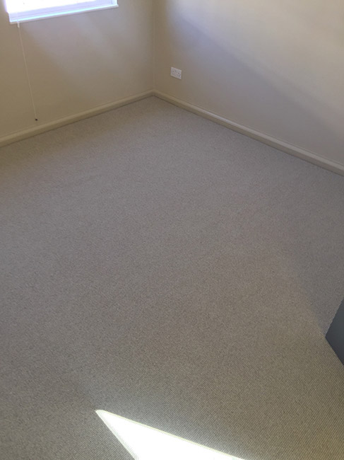 Carpet-in-Room-01