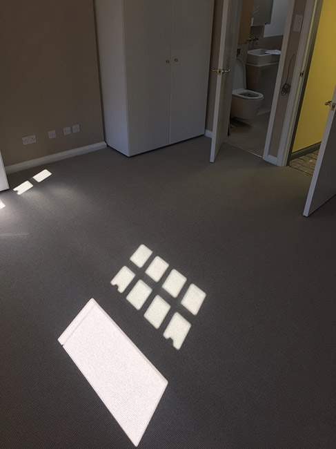 Carpet-in-Room-02