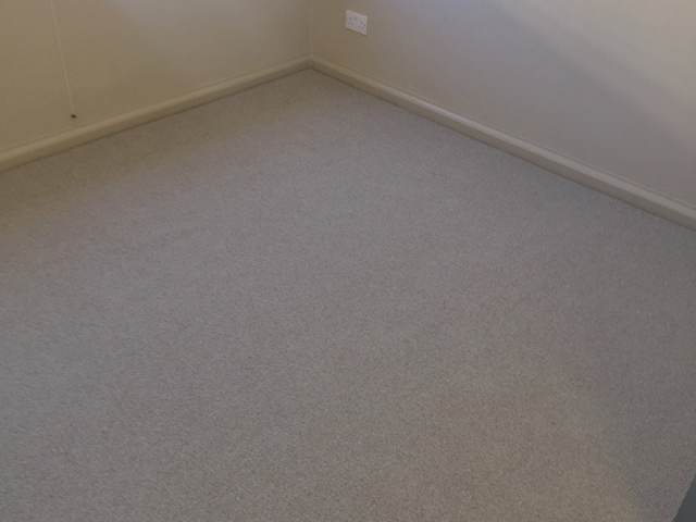 Carpet in Room
