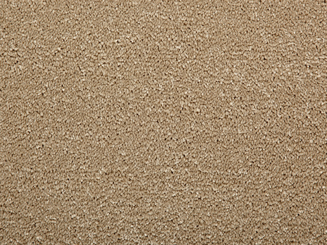 Clarendon Carpets – Easycare Anti-Stain – Allure