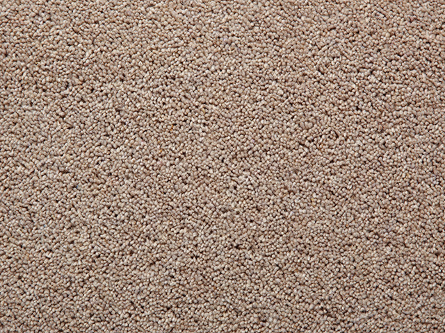 Clarendon Carpets – Wool Mix Twist Piles – Chancellor