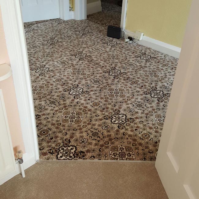 portfolio carpets nice patterned carpet rooms 04