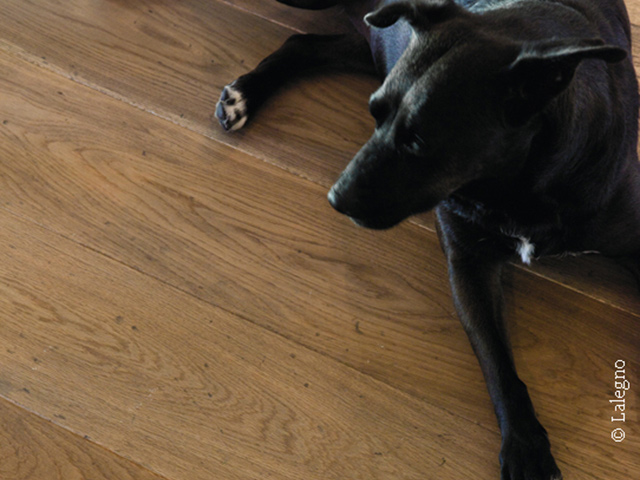 Lionvest Trading – Lalegno – Latour