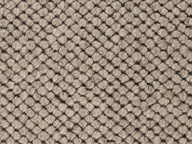 Best Wool Carpets – Pure Venus 193