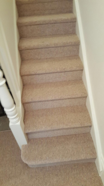 portfolio-carpets-plain-stair-carpet-02