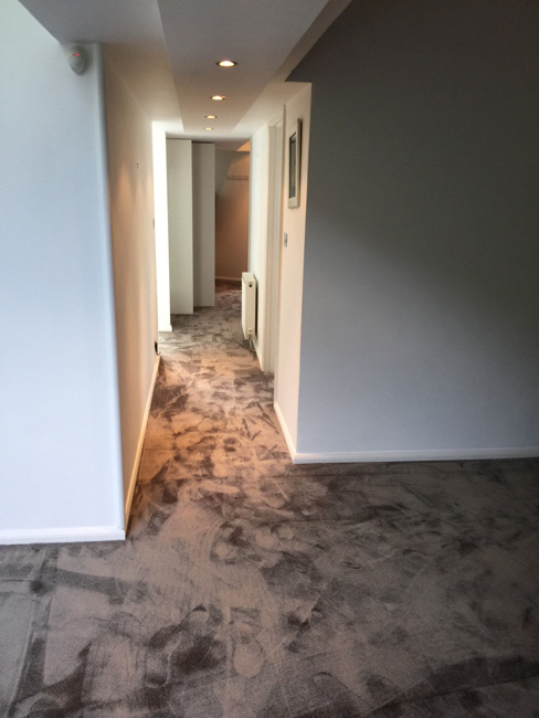 portfolio silkresse carpet in areas 03