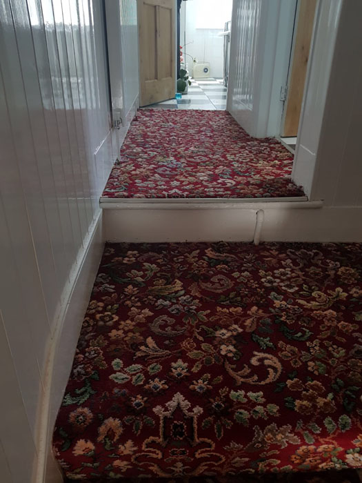 portfolio patterned red stair carpet 02