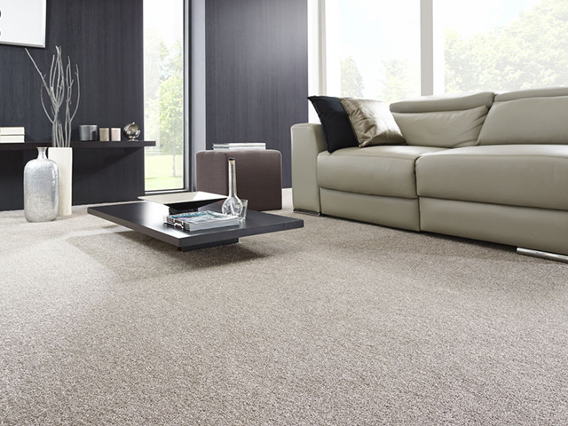 Balta Group – Saxon King