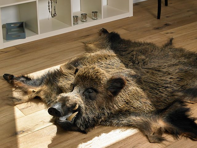 Lionvest Trading – Lalegno – Bergerac