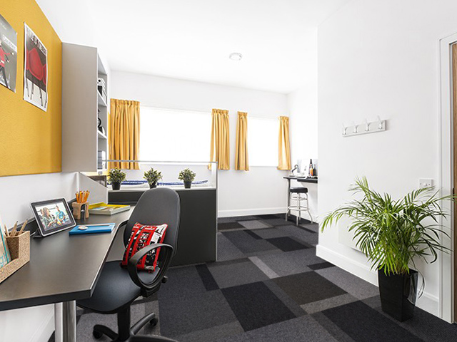 Paragon – Total Contrast