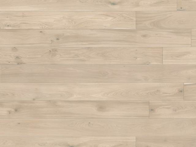 Atkinson & Kirby – 527047 Tanami Oak