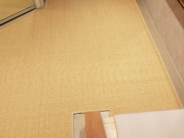 Sisal Carpet Fitted In Canada Water