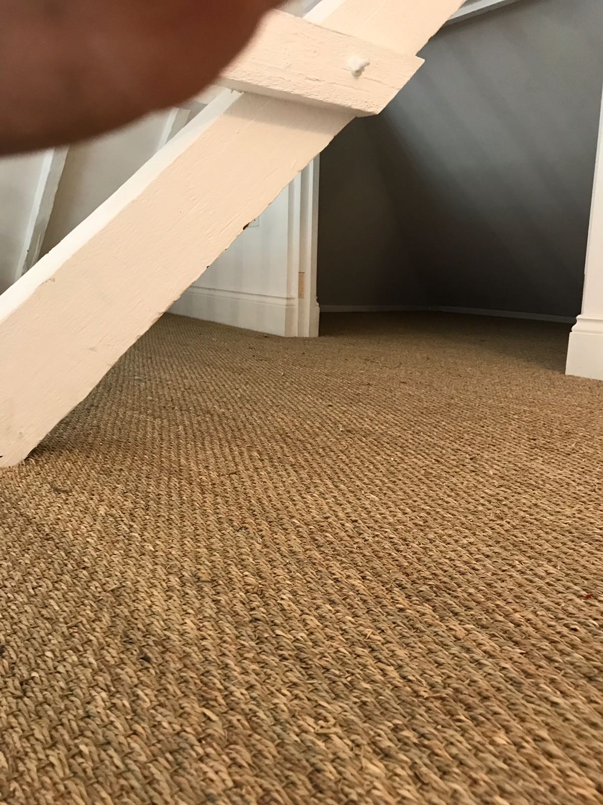 Crucial Trading Sisal Carpet Installation in Croydon The Flooring Group