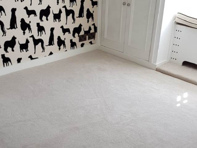 Silk Simulant Carpet Installed In Acton