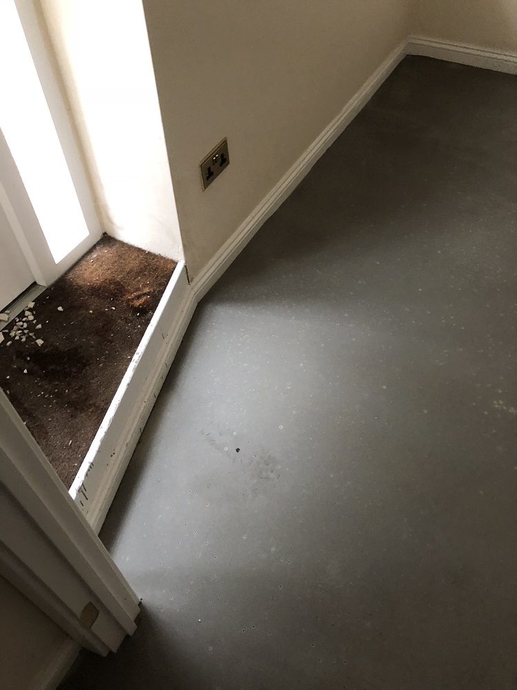 portfolio Grey Sheet Vinyl Flooring Installation in Acton (4)