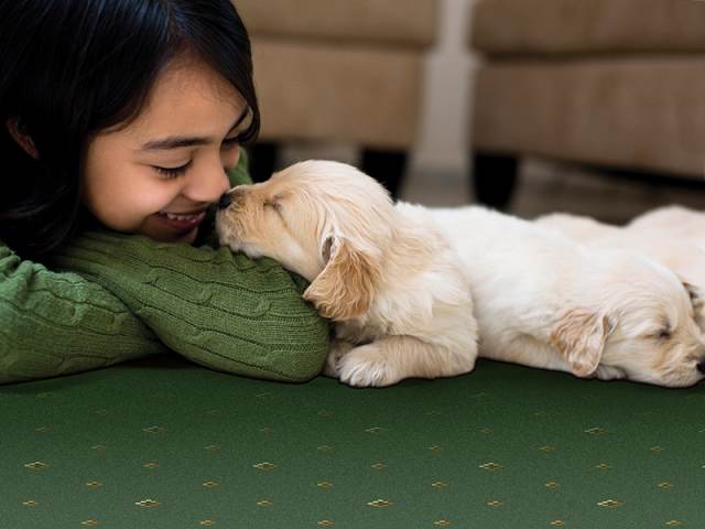 Hugh Mackay Carpets – Prince Bishop – Sceptre