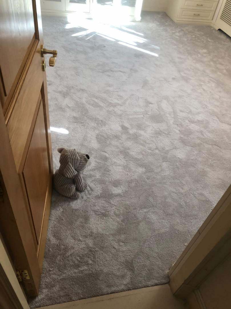 portfolio carpets elements-london-savoy-crystal-carpet-clapham (2)