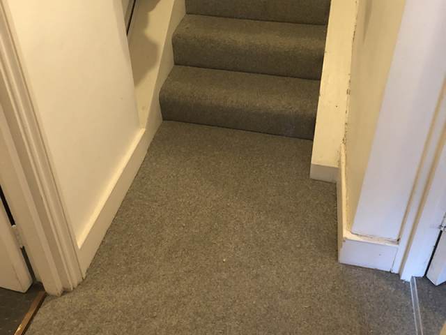 Westex Carpet Installed In Bayswater