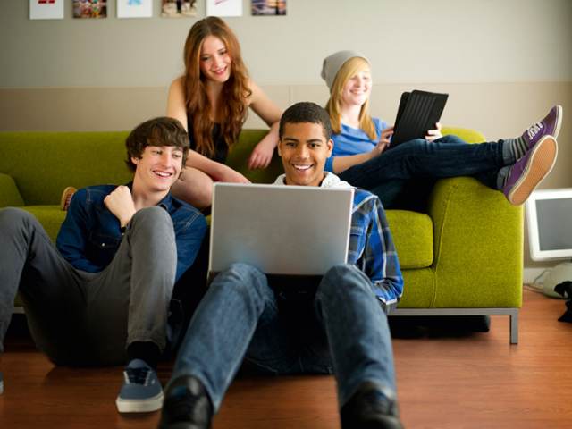 Altro – Wood Safety, Fortis