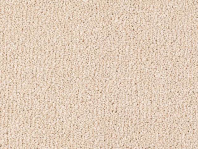 Thomas Witter – Discovery Twist