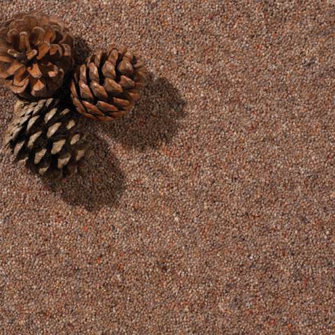 Cavalier Carpets – CC Cameo 2