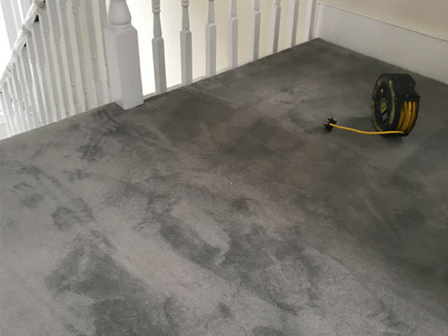 Luxury Carpet Fitted In Earls Court