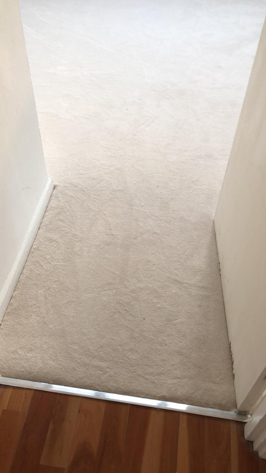 portfolio-clarendon-carpets-velvet-eggshell-stratford (3)