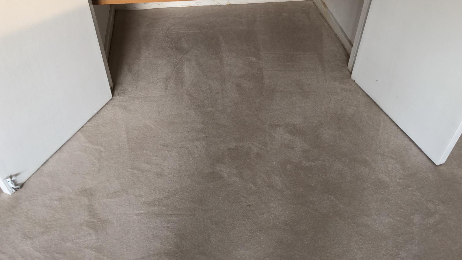 portfolio-clarendon-carpets-velvet-eggshell-stratford (4)