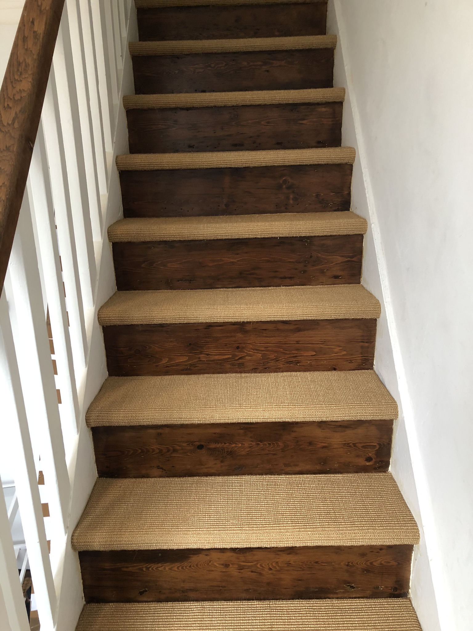 portfolio Fibre Boucle Cinnamon Sisal Carpet Installed in Temple Fortune (3)