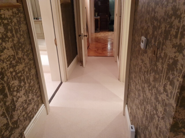 Westex Natural Loop Briar Soya Wool Loop Carpet Installed in Brixton