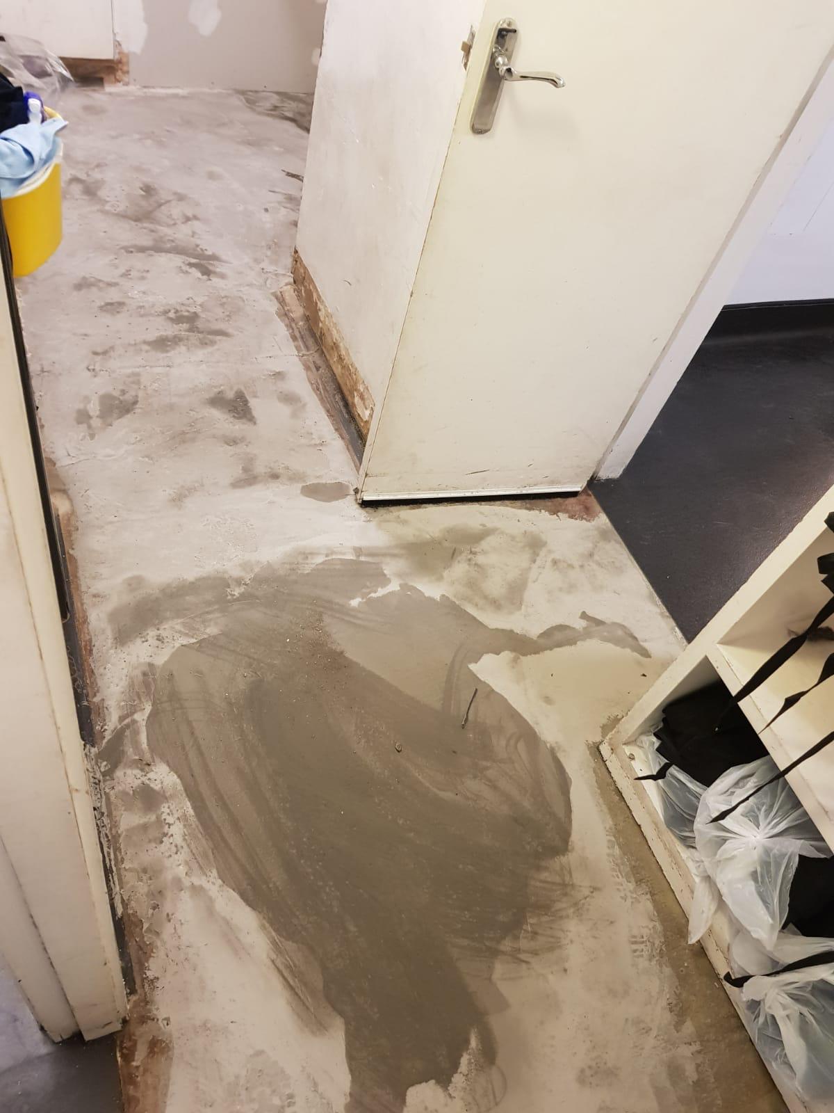 Crucial Trading Alpine Pale Shale 3