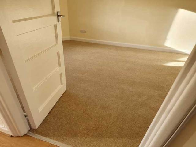 Brown Carpet in Acton