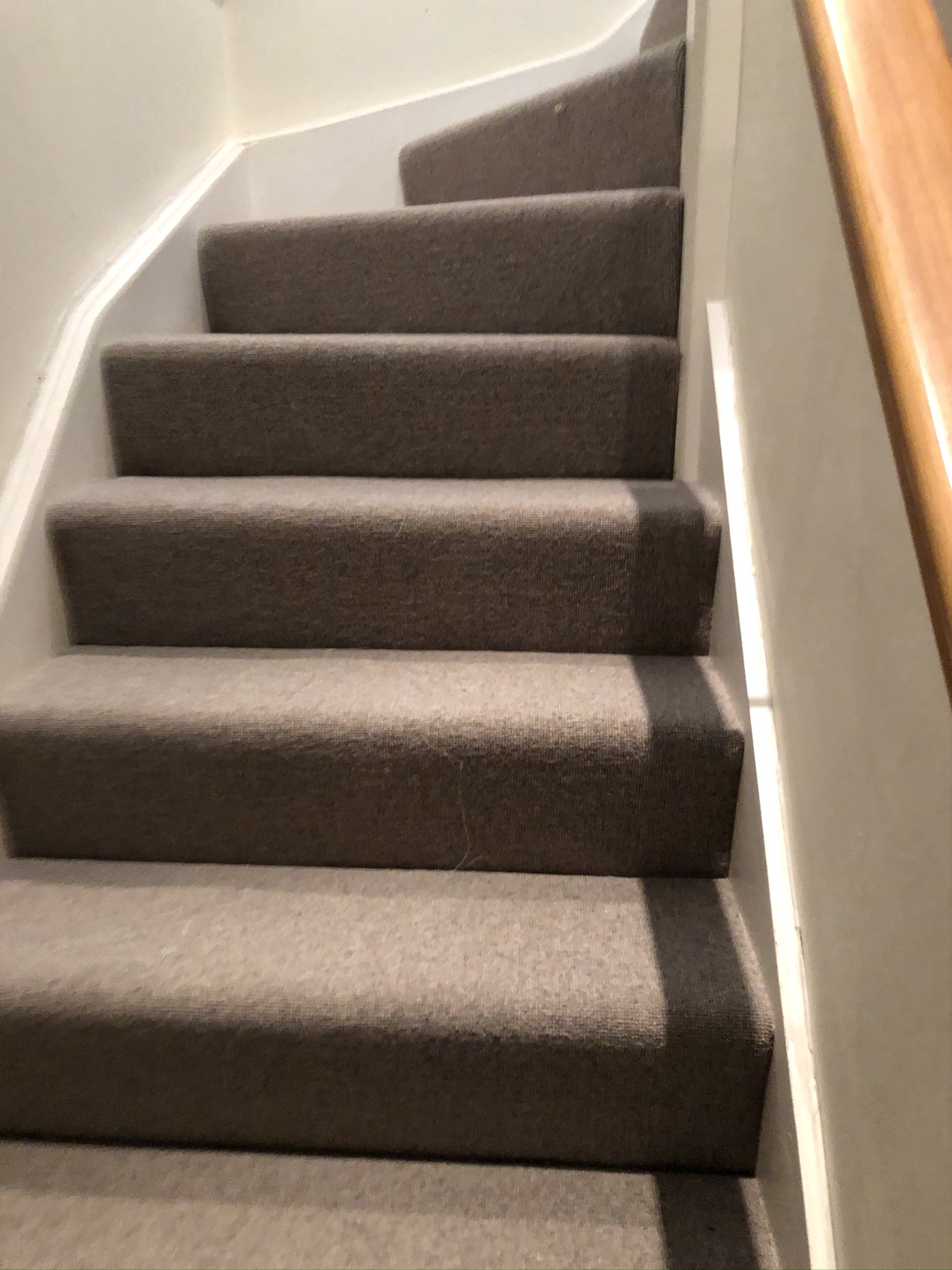 Hammer Carpets Jacs 129-22 Carpet 2