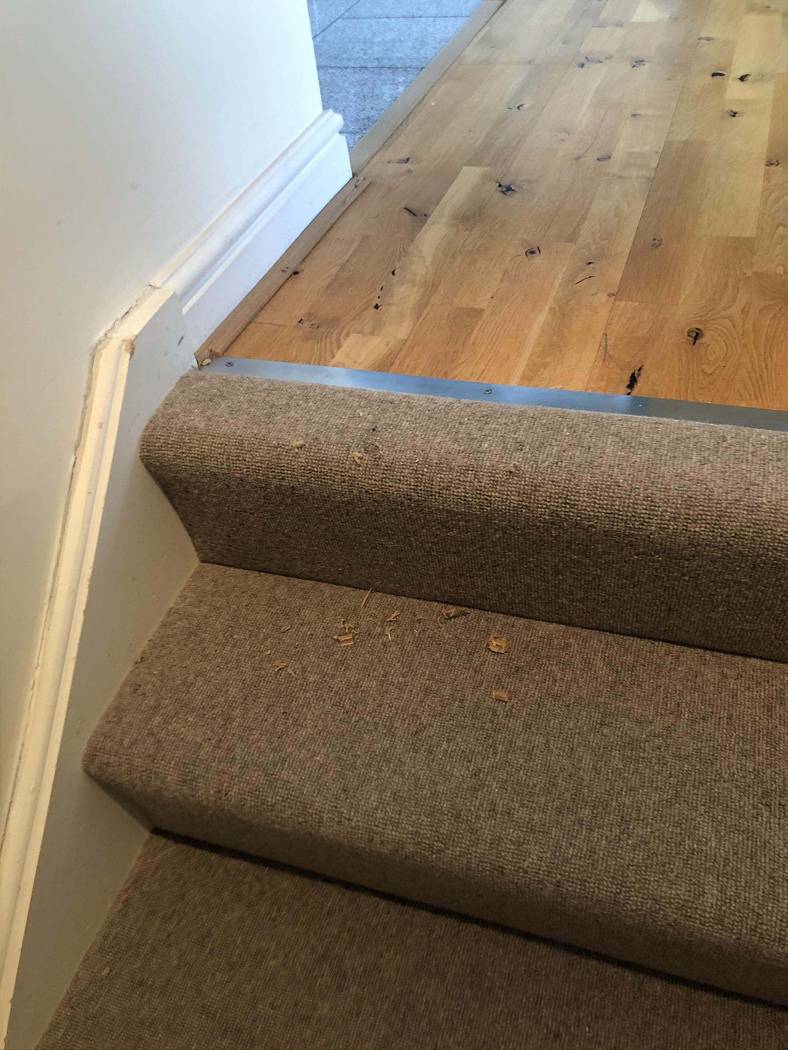 Hammer Carpets Jacs 129-22 Carpet 3