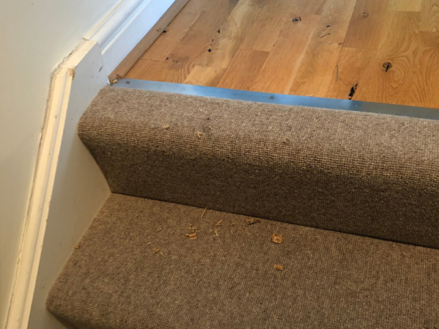 Hammer Carpets Jacs 129-22 Carpet in the Embassy of Thailand