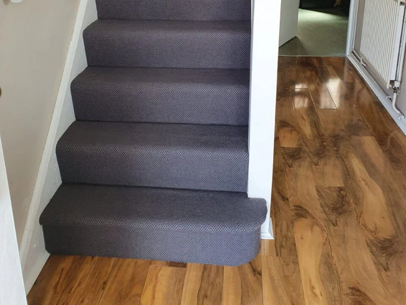 Purple Carpet In Wandsworth - Carpet - Wandsworth - Home - Residential