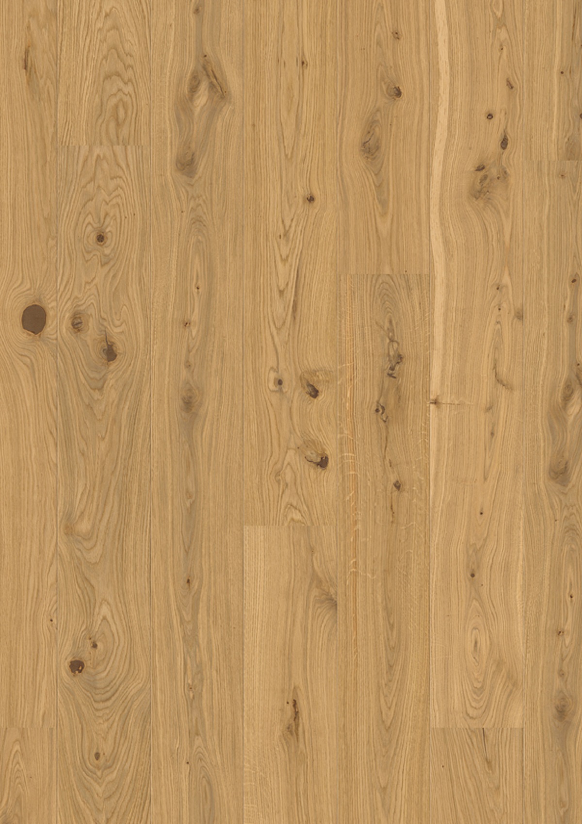 Oak Authentic_plank 181