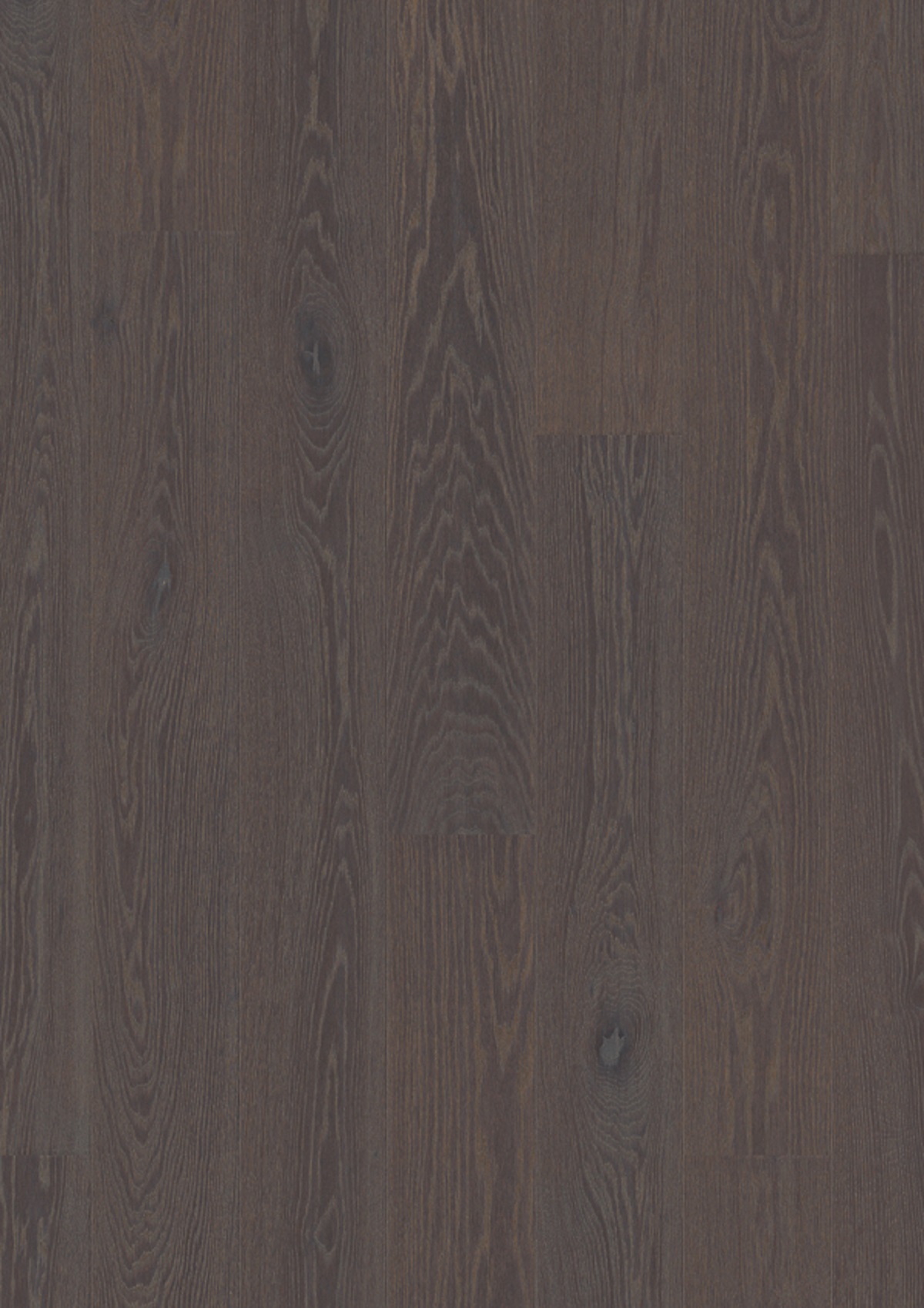 Oak Foggy Brown_plank 181_Live Pure