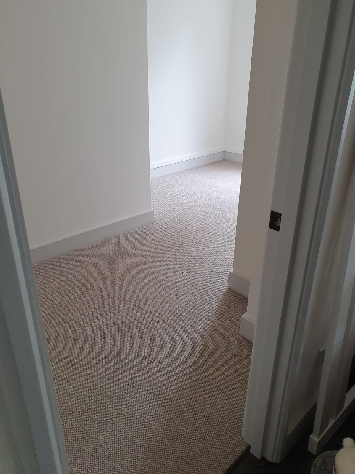 Kingsmead Carpets Natural World Rocky Coast Knot Carpet in Paddington 3