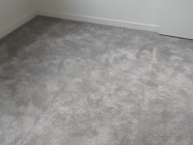 Cavalier Carpets Silken Chiffon Carpet in Chelsea