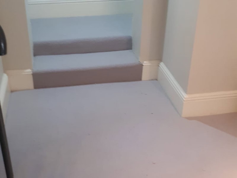 Cormar Carpets Avebury Pewsey Nickel Carpet In Camden - Carpet - Camden - Home - Residential