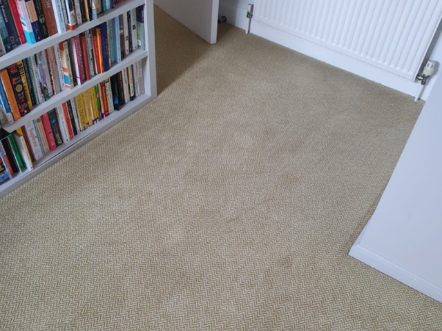 Adam Carpets Flare FL09 in Mayfair