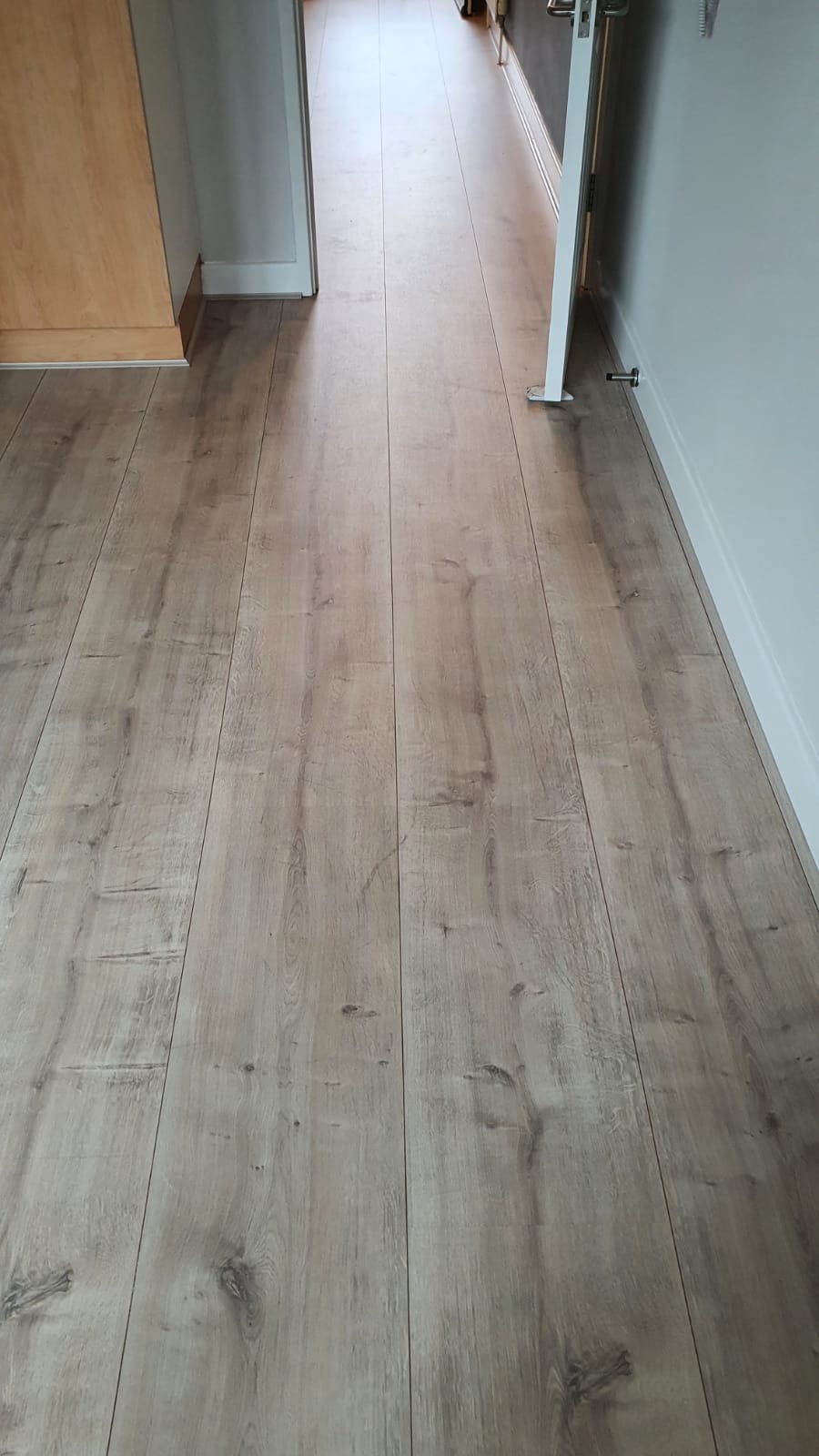 Woodpecker Winter Oak In Earls Court 1