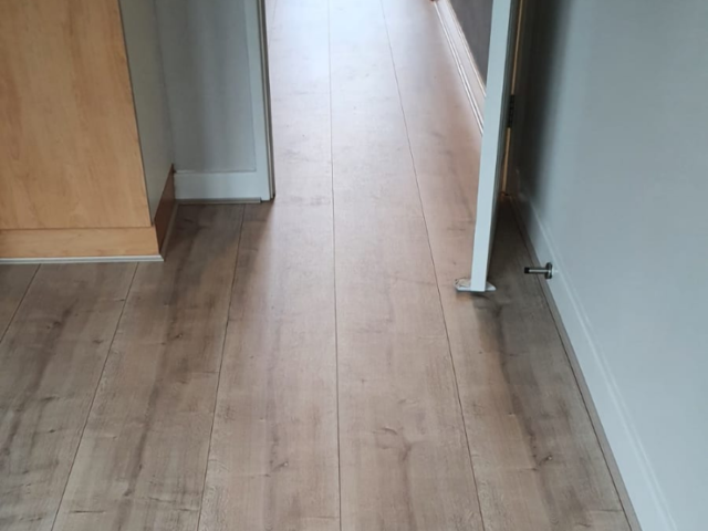 Woodpecker Winter Oak In Earls Court