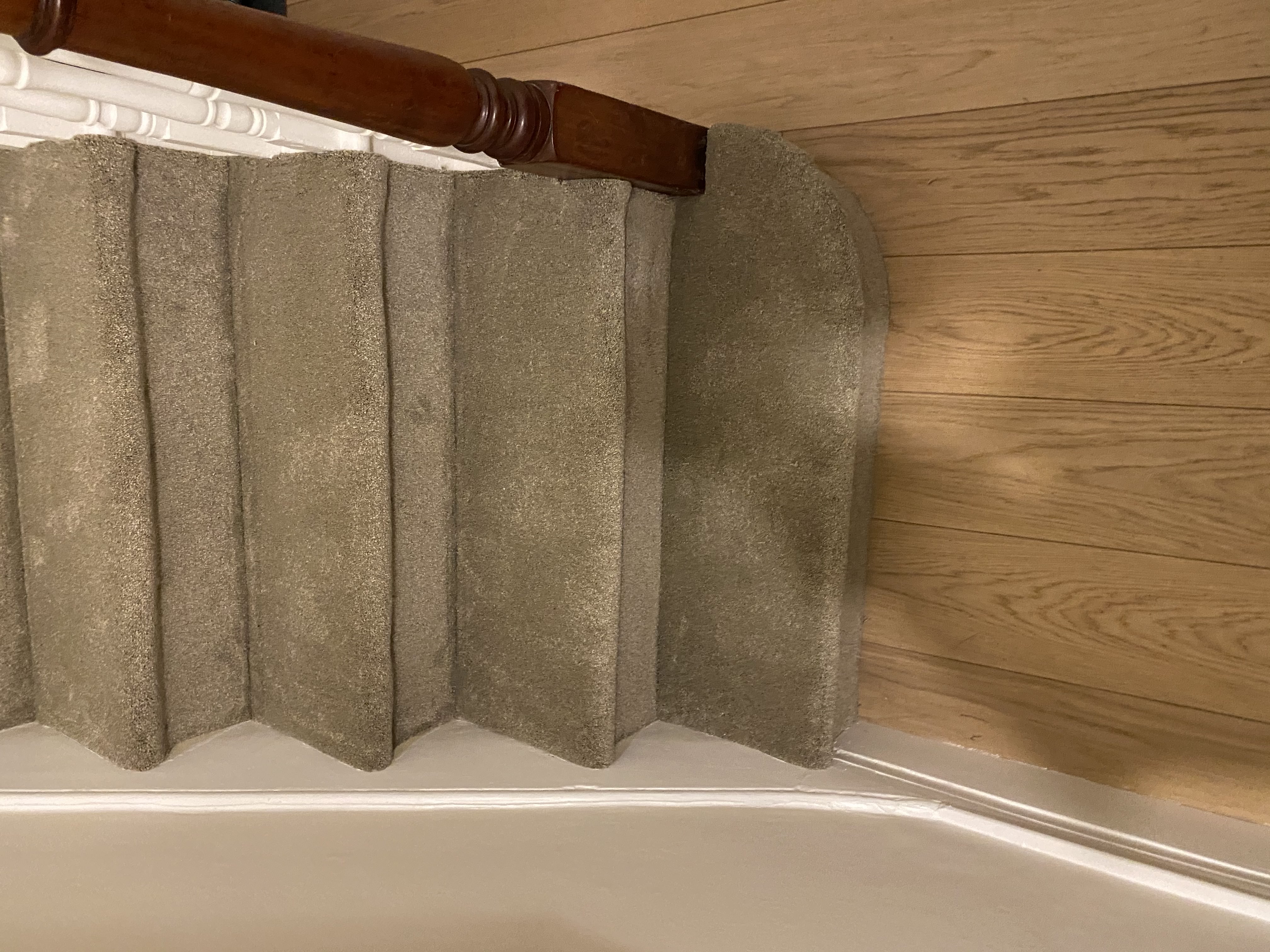 Cavalier Carpets Definition Meissen Carpet 2