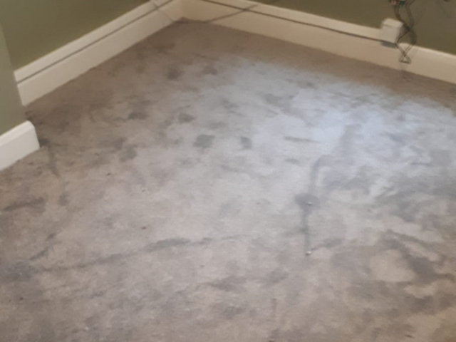 Cavalier Carpets Stainless Milton in Hammersmith